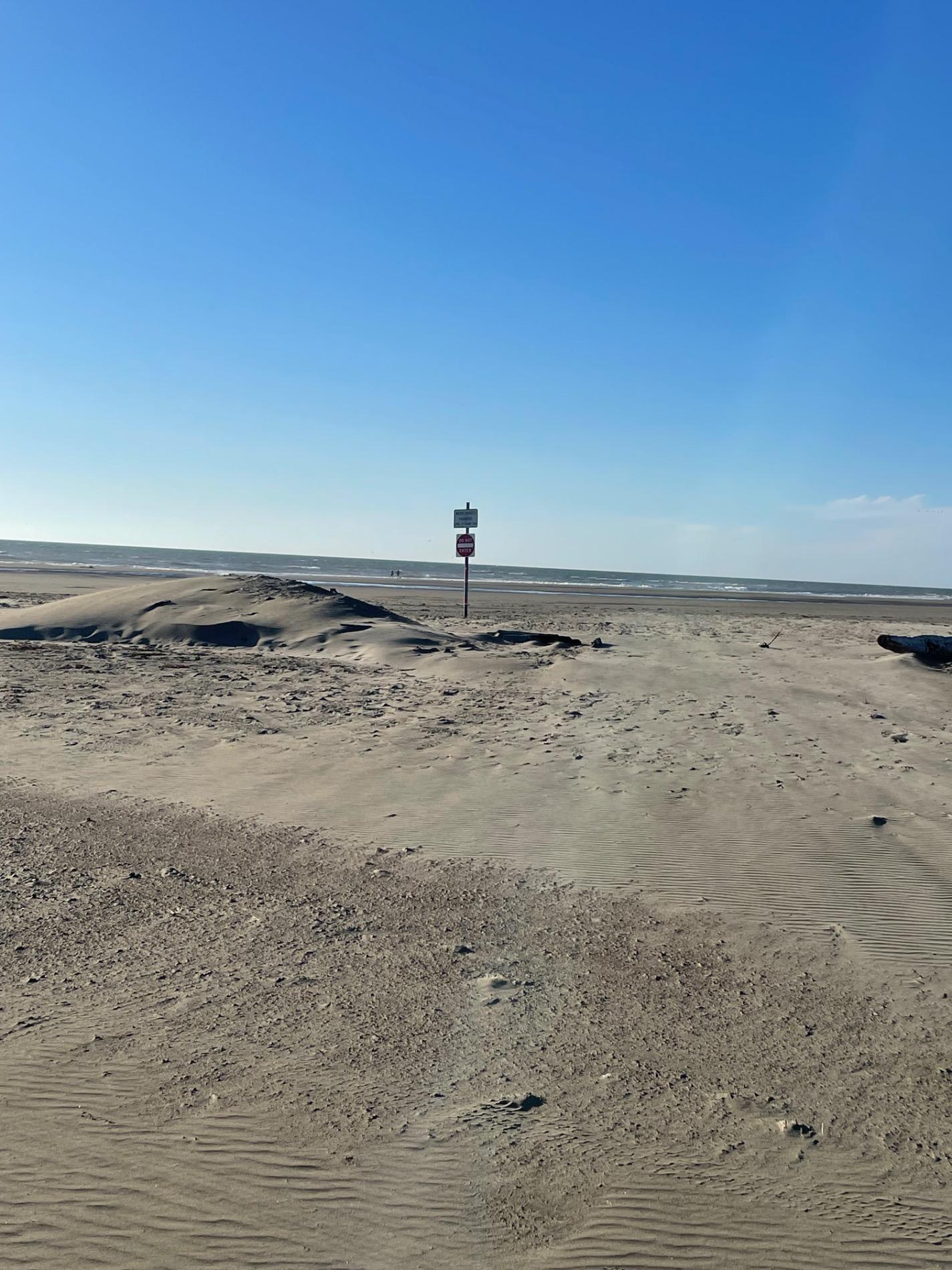 Ocean Shores Beach'in fotoğrafı - tatil için iyi evcil hayvan dostu nokta
